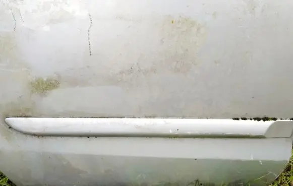 Mazda Premacy Rear door trim (molding)