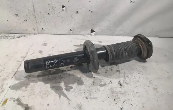 Volkswagen PASSAT B7 Front shock absorber/damper