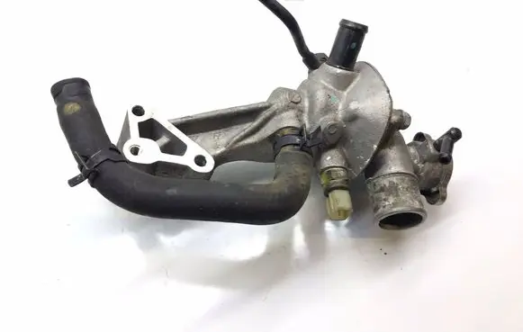 Thermostat/thermostat housing