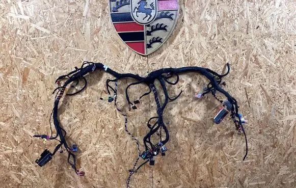 Porsche Taycan 9J1 Panel wiring 9J1974000B