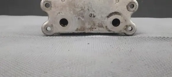 Volvo S80 Engine oil radiator 8677974