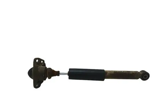 Skoda Superb B6 (3T) Rear shock absorber/damper 3C0513425