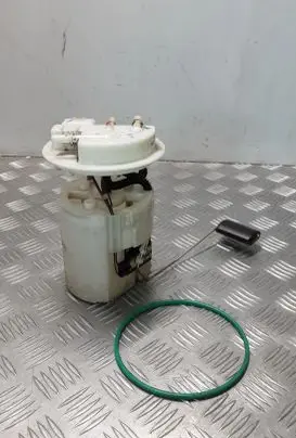 Renault Latitude (L70) In-tank fuel pump 172020037R
