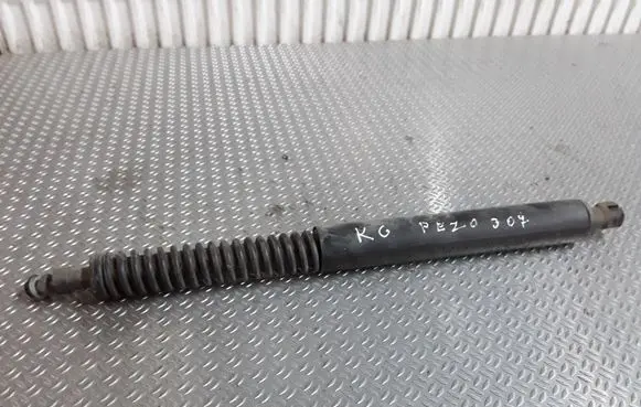 Tailgate/trunk strut/damper
