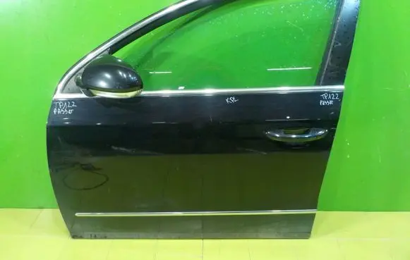 Volkswagen PASSAT B6 Front door TP122