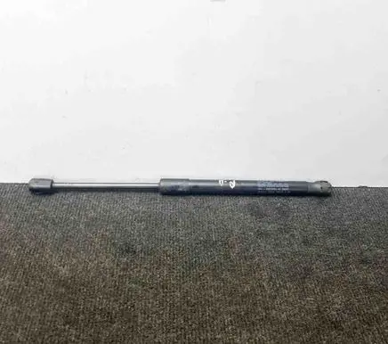 Front bonnet/hood damper/strut
