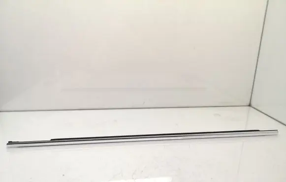 Volkswagen PASSAT B7 USA Rear door glass trim molding