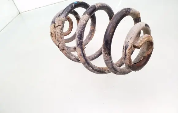 Rear coil spring
