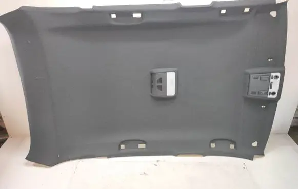BMW X1 E84 Headlining 8047719