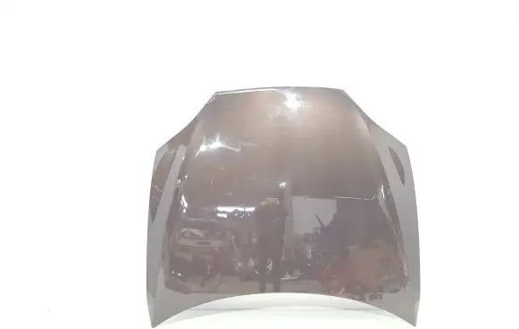 Tesla Model S Engine bonnet/hood