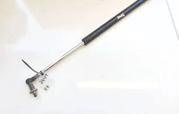Tailgate/trunk strut/damper