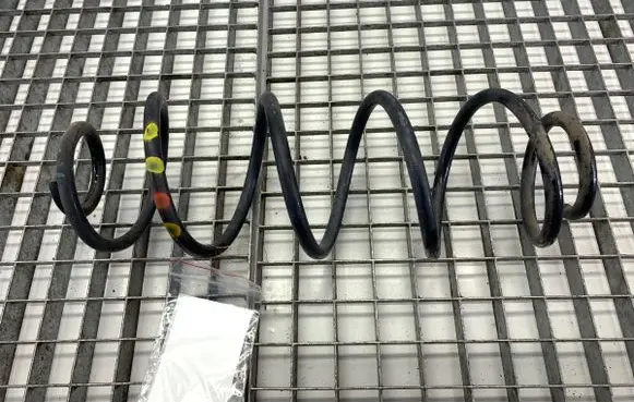 Rear coil spring