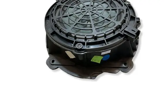 Opel Corsa F Front door speaker 9818747880