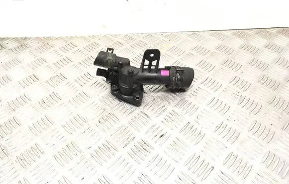 Thermostat/thermostat housing