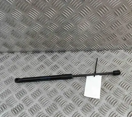 BMW X2 U10 Front bonnet/hood damper/strut 9883421