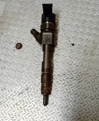 Renault Trafic II (X83) Fuel injector 0445110110b