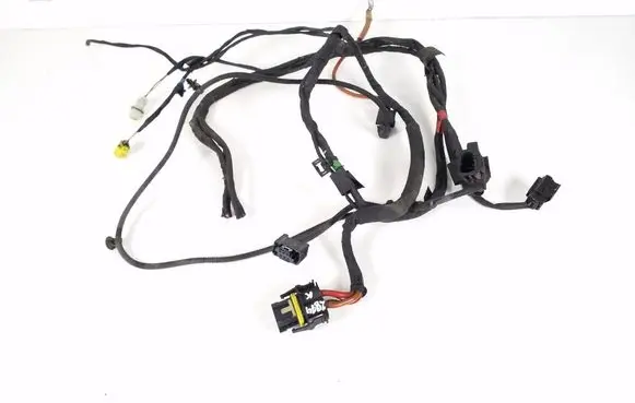 Other wiring loom