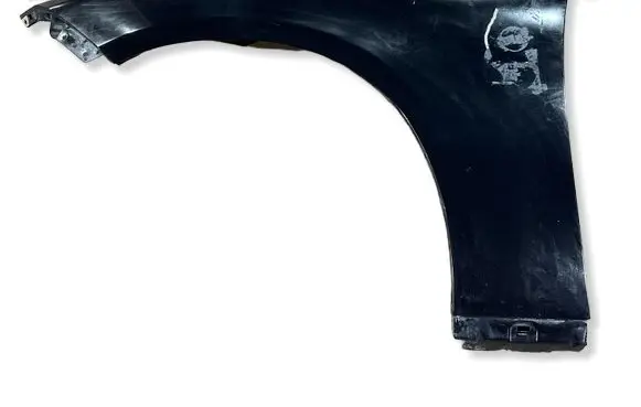 Dodge Charger Fender R061064V1