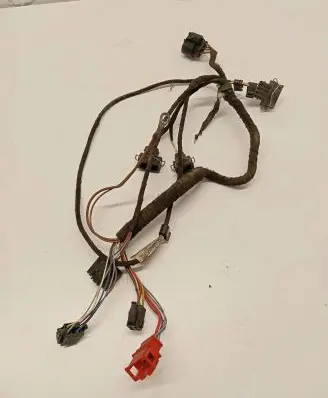 Front door wiring loom