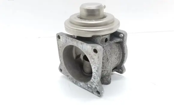 Volkswagen Phaeton EGR valve 07Z131501A 043409095