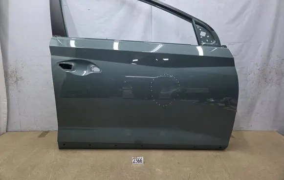 Hyundai Bayon Front door 