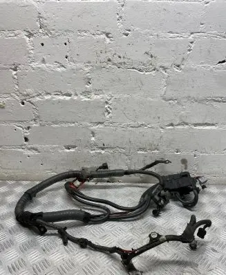 Toyota Avensis T270 Positive wiring loom 828150F040