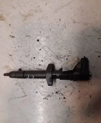 Renault Espace - Grand espace IV Fuel injector 8200084534