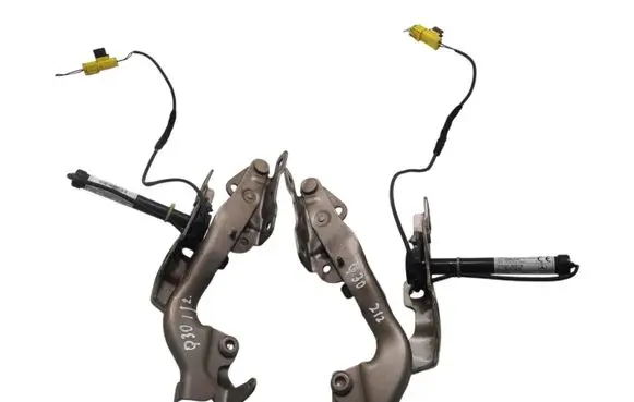 Infiniti Q30 Engine bonnet/hood hinges 1179061000