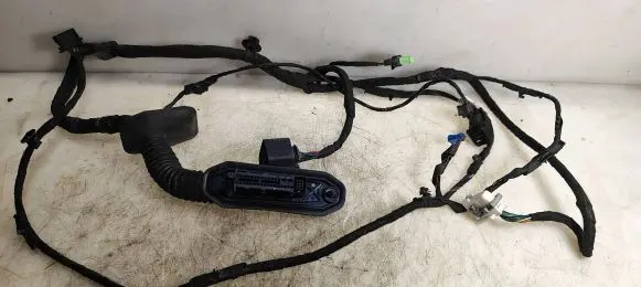 Mini Cooper Countryman R60 Front door wiring loom 9811251 9811217 28042013