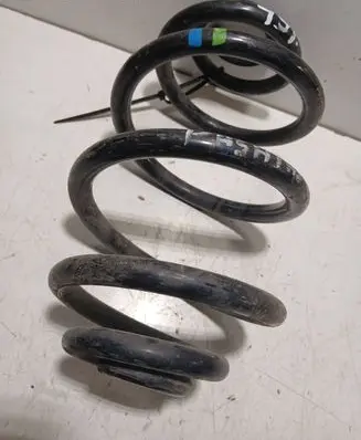 Volkswagen PASSAT B5.5 Rear coil spring