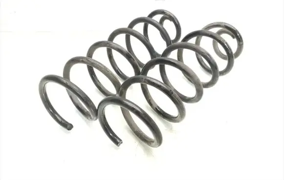 Rear coil spring