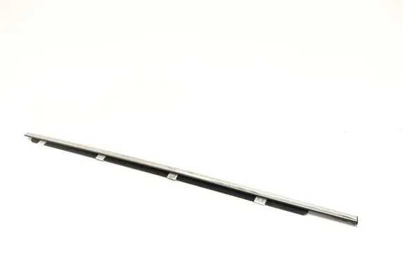 Rear door glass trim molding