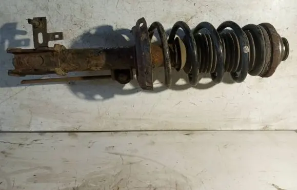 Opel Zafira B Front shock absorber/damper 24466546