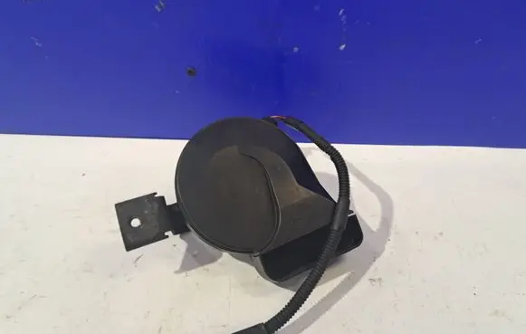 Horn signal