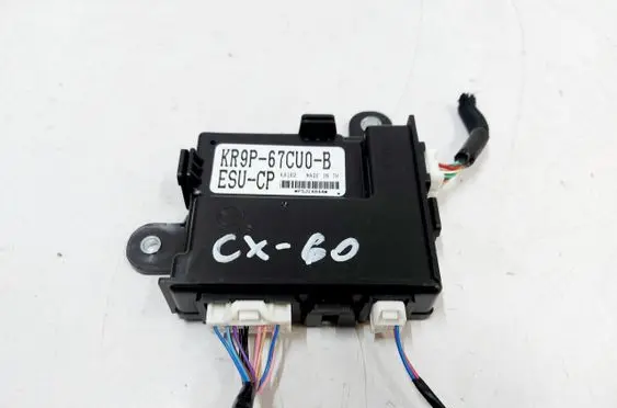 Other control units/modules