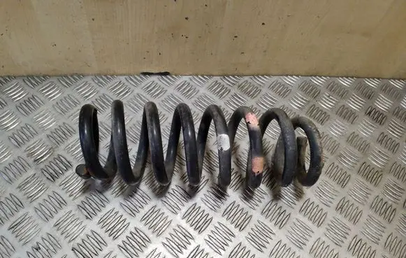 Suzuki Grand Vitara II Rear coil spring