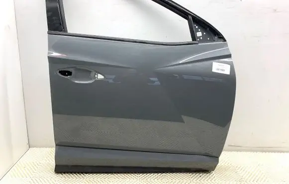 Hyundai Tucson IV NX4 Front door 