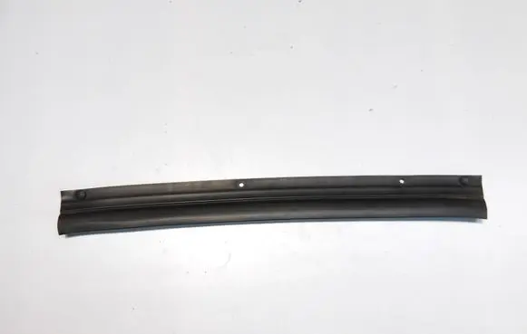 Nissan Qashqai Rubber seal rear door