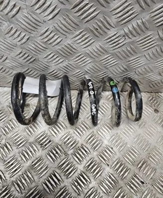 Rear coil spring
