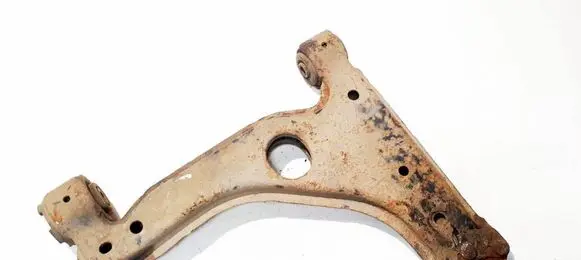 Front lower control arm/wishbone