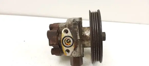 Hyundai Terracan Power steering pump