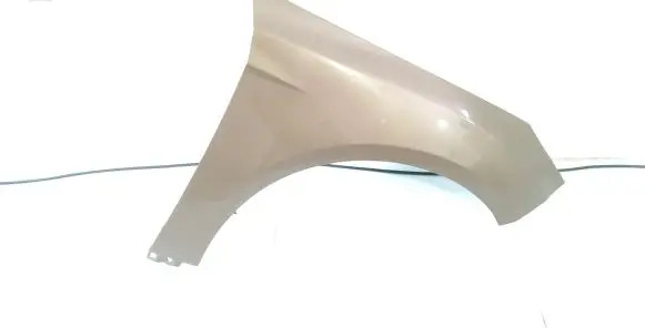 Ford Focus Fender