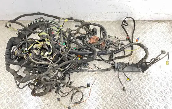 Citroen C6 Other wiring loom 9655438280