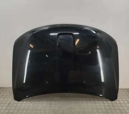 Jeep Grand Cherokee (WK) Engine bonnet/hood 55369587AD