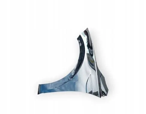 Volkswagen Polo VI Fender 2G0821105