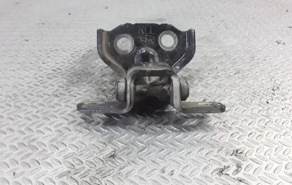 KIA Sorento Rear door lower hinge