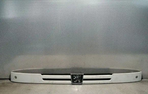 Peugeot Boxer Front grill 1304863080