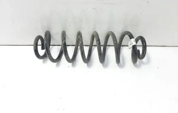 Rear coil spring
