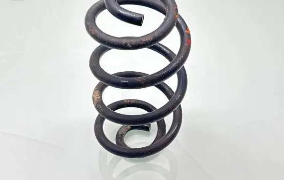 Nissan Qashqai Rear coil spring 55020JD02A