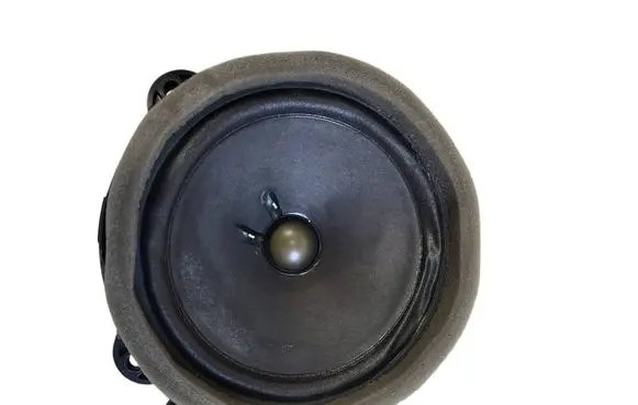 Cadillac CTS Panel speaker 15242215